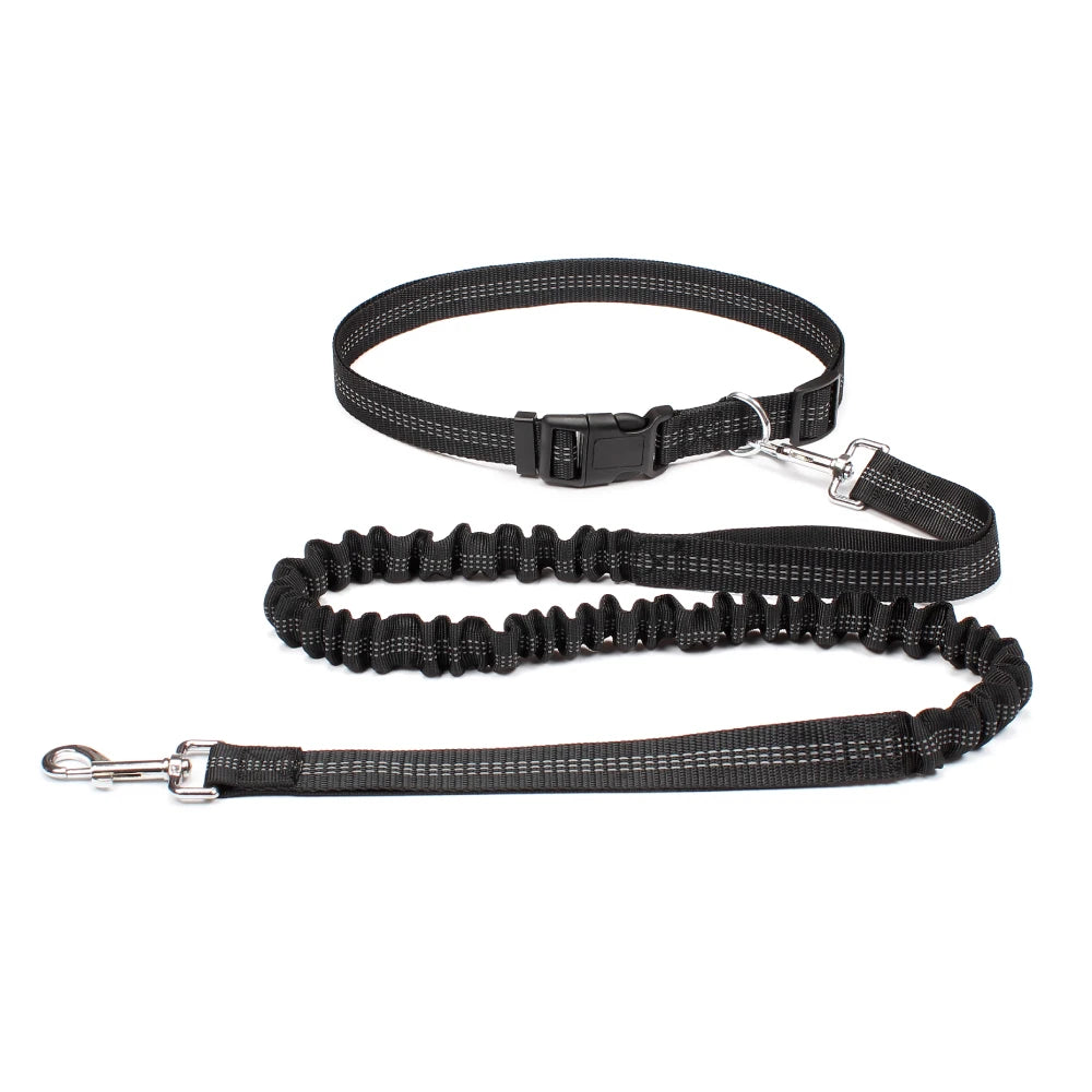 Hands-Free Adjustable Dog Leash for Walking, Running & Jogging