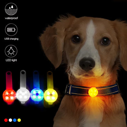 Anti-Loss LED Flashing Pendant for Dogs & Cats – Waterproof, USB Rechargeable