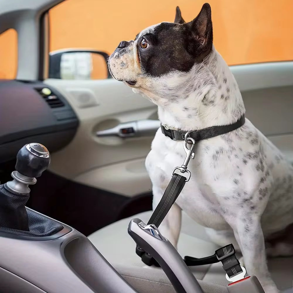 2-Pack Adjustable Dog Seat Belts with Bungee Buffer