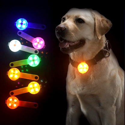 Anti-Loss LED Flashing Pendant for Dogs & Cats – Waterproof, USB Rechargeable