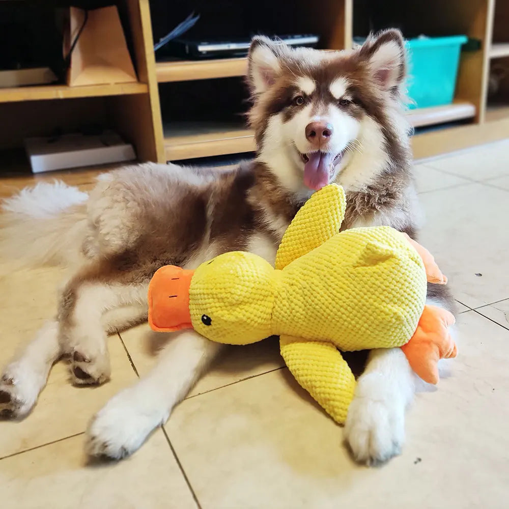 Plush Squeaky Duck Toy