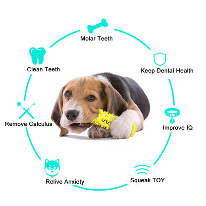 Durable Dog Chew Toy & Toothbrush for Dental Care