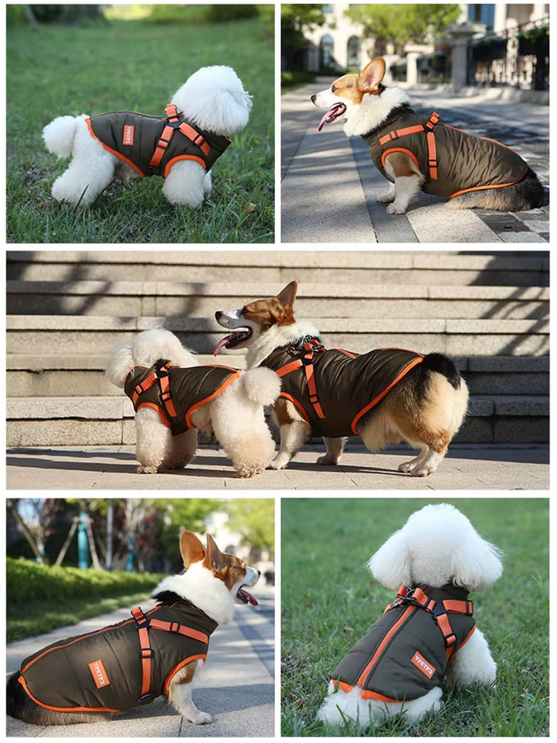 Waterproof Winter Jacket for Dogs