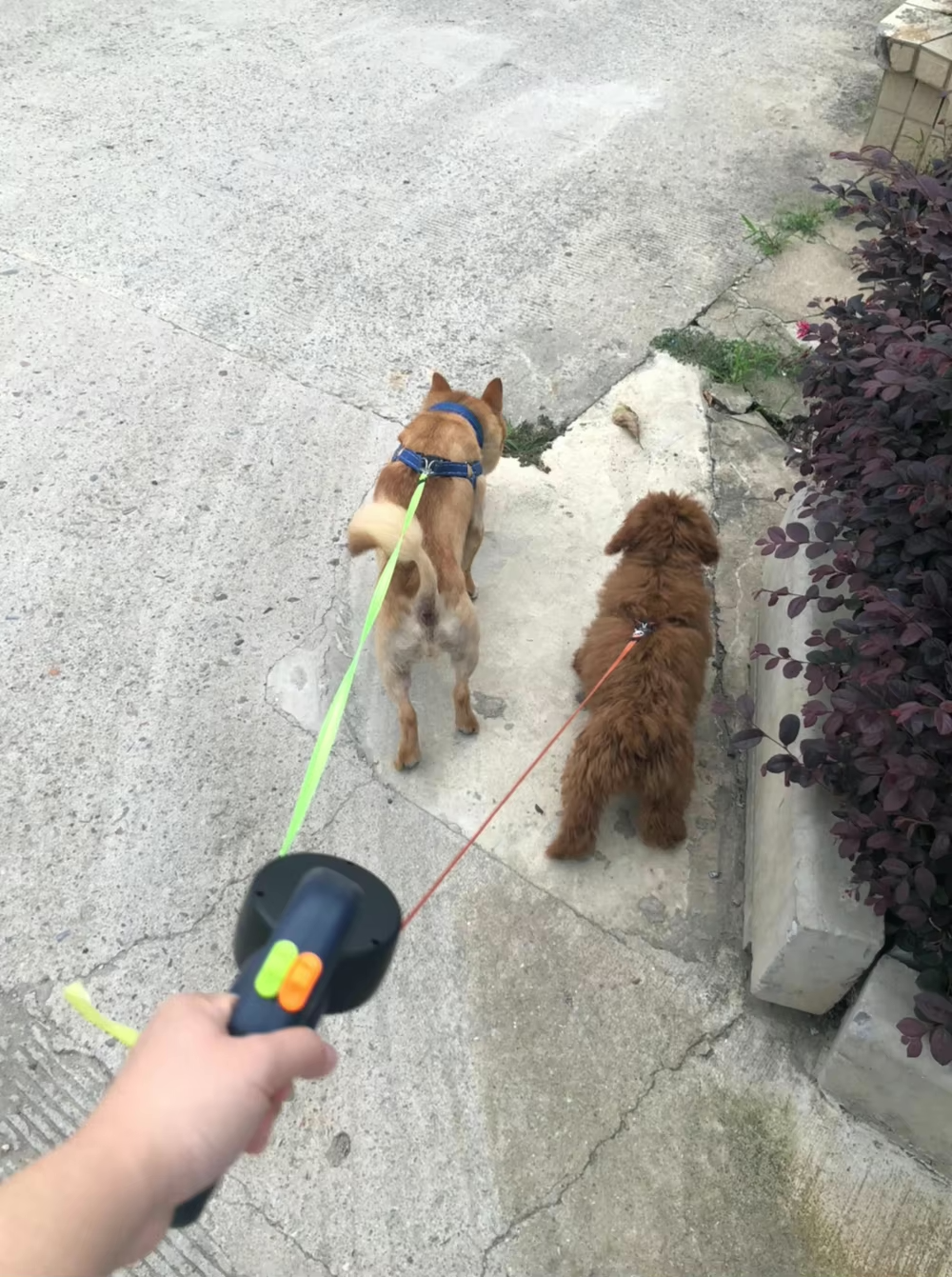 3 Metre Retractable Reflective Dual Dog Leash with Torch and Poop Bag Holder