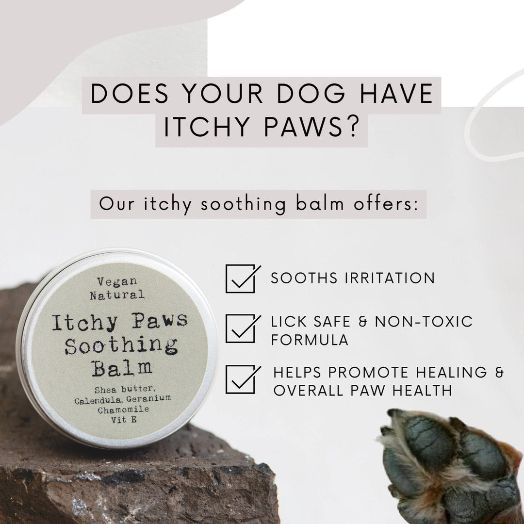 Paws Right There Itchy Paws Dog Balm – Natural, Vegan, Lick-Safe, Soothing