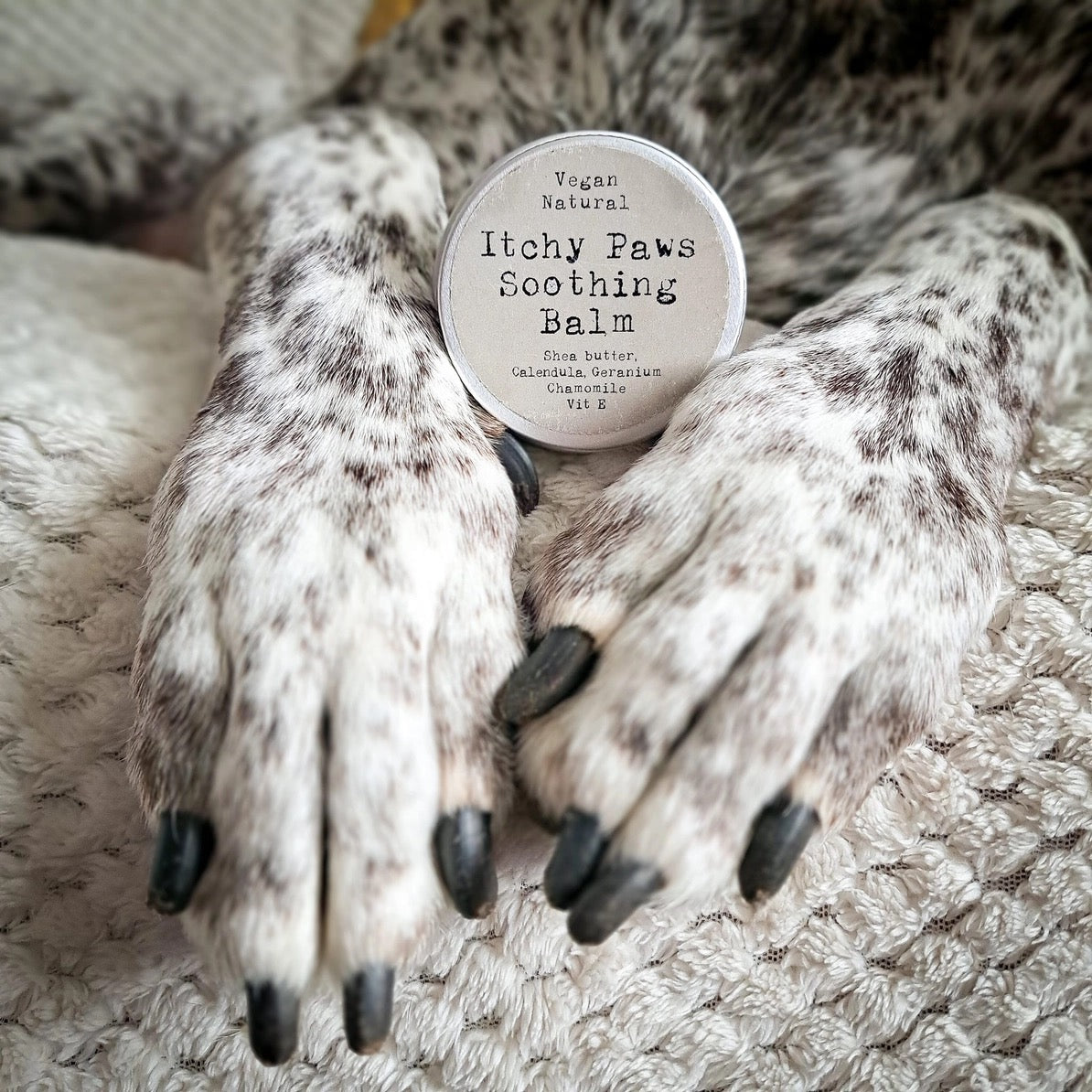 Paws Right There Itchy Paws Dog Balm – Natural, Vegan, Lick-Safe, Soothing