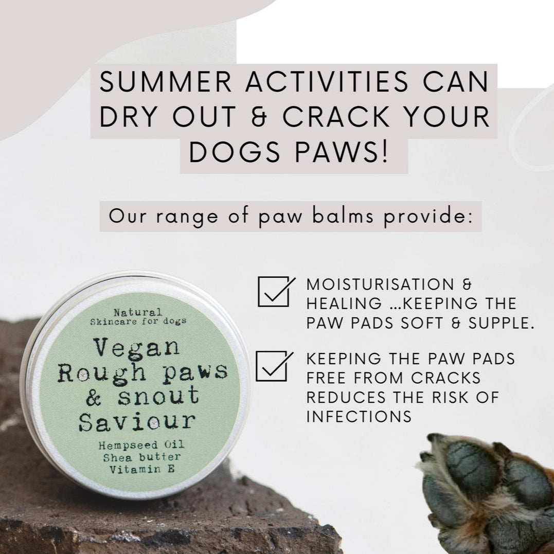 Paws Right There Rough Paws & Snout Saviour - 100% Natural & Vegan