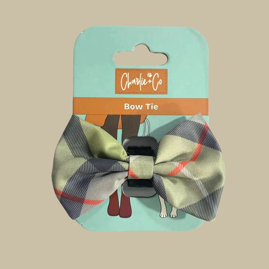 Charlie & Co Highland Hound - Bow Tie