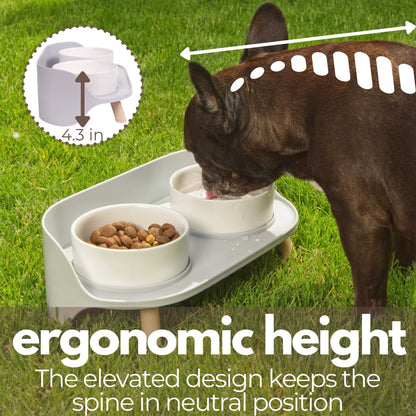 Elevated Spill-Proof Feeding Station for Pets