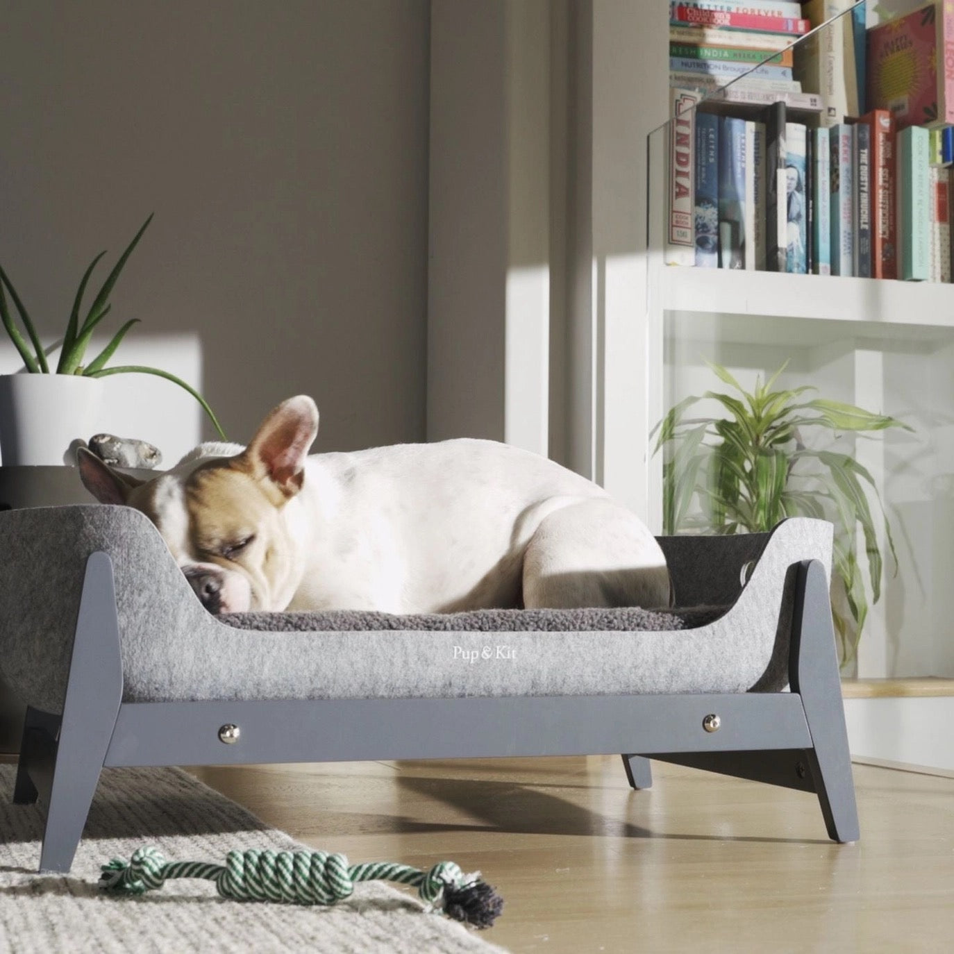 Petnest Dog Bed & Raised Stand - Slate Grey