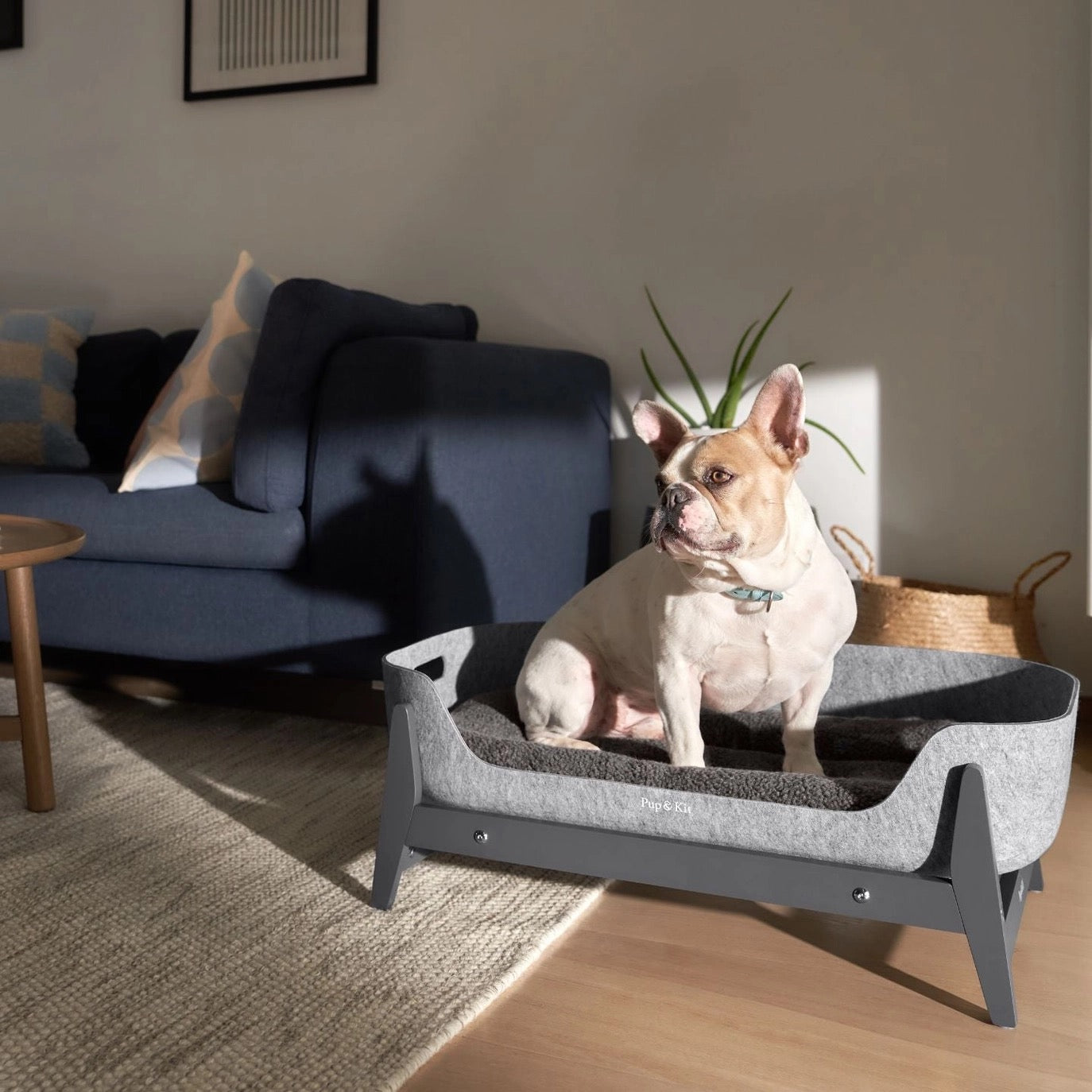 Petnest Dog Bed & Raised Stand - Slate Grey