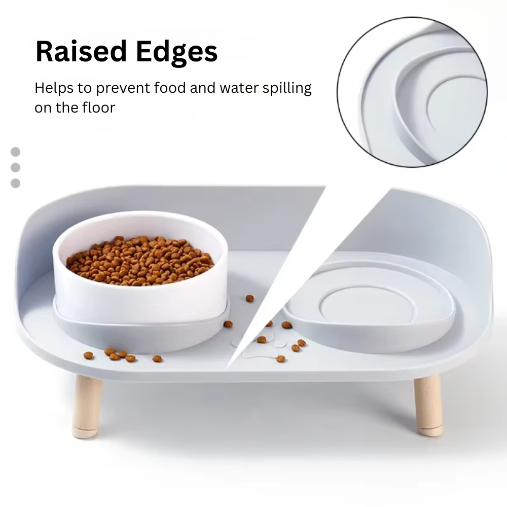 Elevated Spill-Proof Feeding Station for Pets