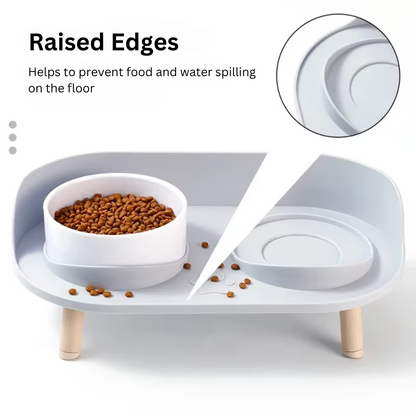 Elevated Spill-Proof Feeding Station for Pets