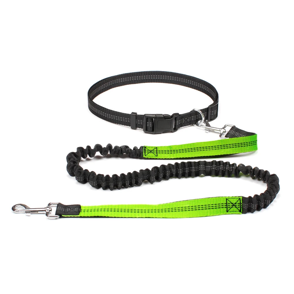 Hands-Free Adjustable Dog Leash for Walking, Running & Jogging