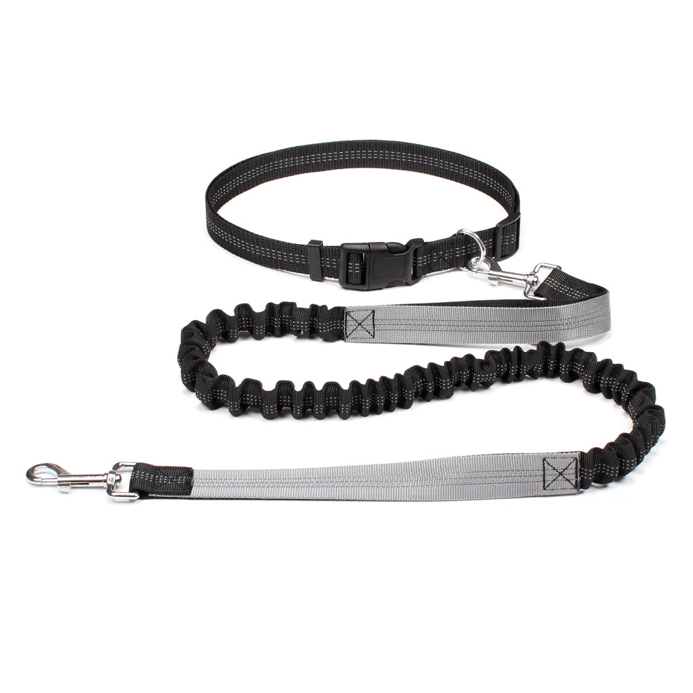 Hands-Free Adjustable Dog Leash for Walking, Running & Jogging