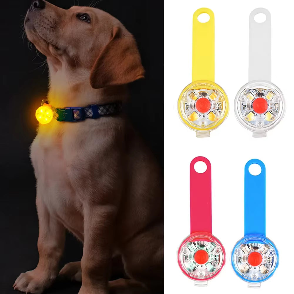 Anti-Loss LED Flashing Pendant for Dogs & Cats – Waterproof, USB Rechargeable