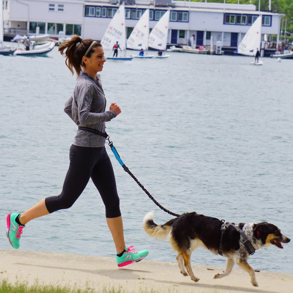 Hands-Free Adjustable Dog Leash for Walking, Running & Jogging