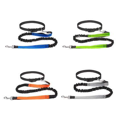 Hands-Free Adjustable Dog Leash for Walking, Running & Jogging