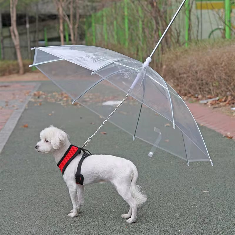 Pet Umbrella Leash – Keep Your Pet Dry in Any Weather