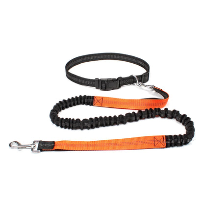 Hands-Free Adjustable Dog Leash for Walking, Running & Jogging