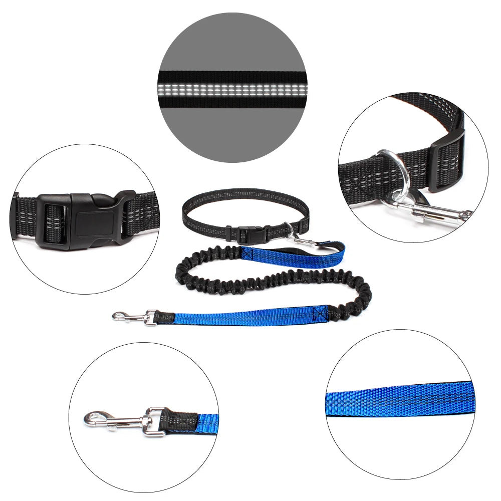 Hands-Free Adjustable Dog Leash for Walking, Running & Jogging