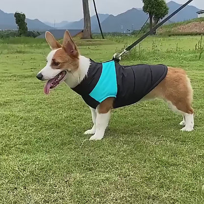 The Dog Face Waterproof Warm Dog Coat