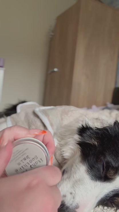 Paws Right There Itchy Paws Dog Balm – Natural, Vegan, Lick-Safe, Soothing